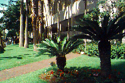 Royal Kuhio Gardens